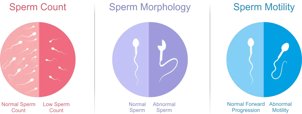 Motility Treatment Options