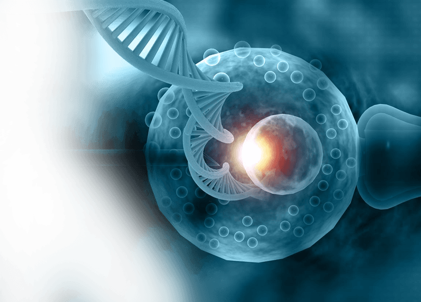 Preimplantation Genetic Testing
